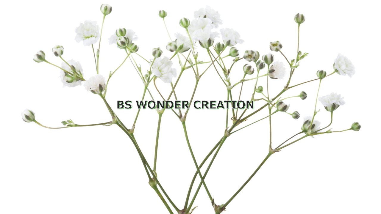 storefront banner